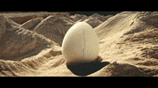 GIF by Sony Music Colombia