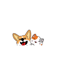 petiquepets review 5 stars cartoon dog cartoon cat Sticker