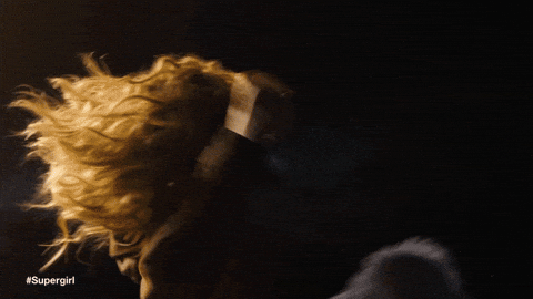 Dog Fetch GIF by Warner Bros. Pictures