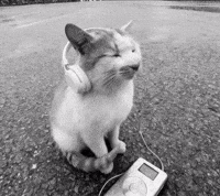 Vibing Locked In GIF