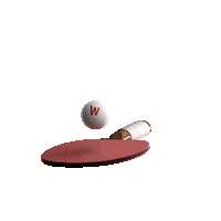 Tischtennis W2D Sticker by win2day