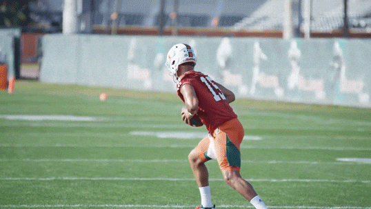 miamihurricanes giphyupload football american football canes GIF