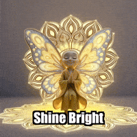 Radiance Shine Bright GIF by BuddhaFlyJourney
