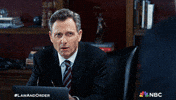 Season 24 Nbc GIF by Law & Order