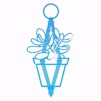 Macrame GIF by ccvnola