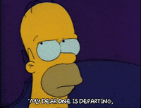 Season 2 GIF by The Simpsons