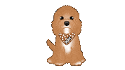 Cute Dog Sticker by zoopeez