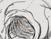 Art Illustration GIF by Alex Boya