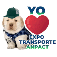 ANPACT perro perrito expotransporteanpact yo amo expo Sticker