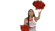 Bigrednation Sticker by Ooltewah Owls