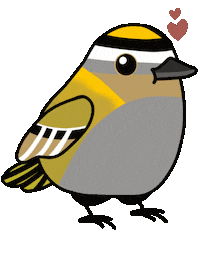 Bird Vogel Sticker