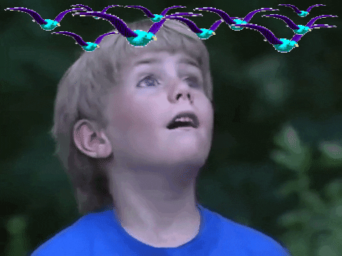 birds wtf GIF by Andrea