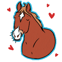 HoefWijzer horse paard naps arabian Sticker