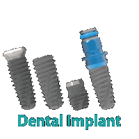 Dental Implant Sticker by cowellmedi