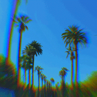 palm trees drive GIF by dani