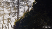Simplify Henry David Thoreau GIF by PBS
