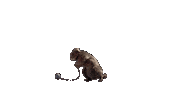 Ground Hog Lol Sticker by France tv