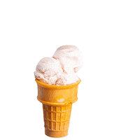 Dessert Icecream Sticker by Snack Toronto Social Media Agency