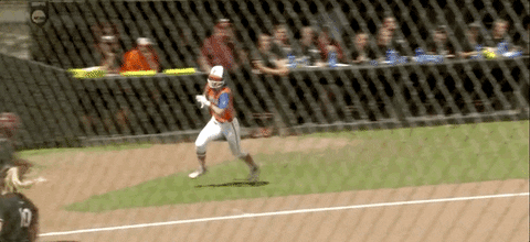 Florida Win GIF by NCAA Championships