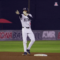 Baseball Wildcats GIF by Arizona Athletics