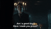 mad city fox GIF by Gotham