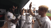 lewis michiganbaseball GIF by Michigan Athletics