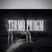 Termo GIF