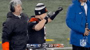 Nfl Playoffs Football GIF by NFL