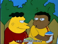 Season 1 GIF by The Simpsons