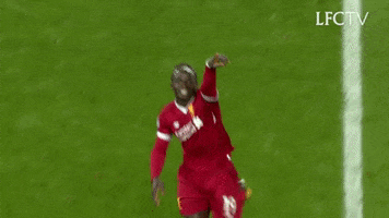 Premier League Football GIF by Liverpool FC