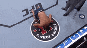 Sport GIF by UFC