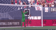 Valour Fc Flag GIF by Red River Rising
