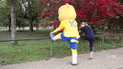 GIF by Confederação Brasileira de Futebol