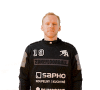 Floorball Blackangels Sticker by Český florbal