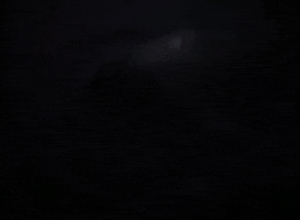 Walt Disney GIF