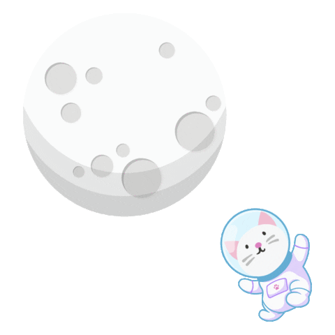 romicastagna giphyupload cat space gato Sticker