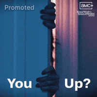 Amc Halfway To Halloween GIF by Shudder