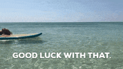 30A lol beach chill dont care GIF