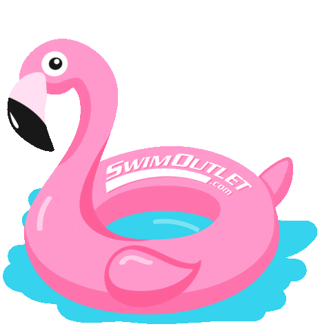 Pool Party Swimming Sticker by SwimOutlet