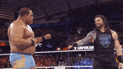 Roman Reigns Reaction GIF by WWE