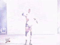 survivor series goldberg GIF by WWE