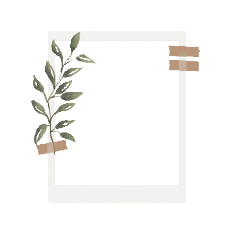 Pmv Sticker by Prefeitura de Valinhos