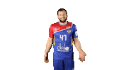 National Team Sport Sticker by Rushandball
