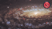Stars Universe GIF by ESA/Hubble Space Telescope