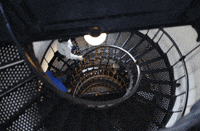 light house beach GIF by hateplow