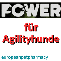 Agility Collie Sticker by Europeanpetpharmacy