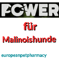 Mali Malinois Sticker by Europeanpetpharmacy