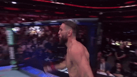 Sport Mma GIF by UFC