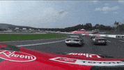 New Hampshire Sport GIF by NASCAR
