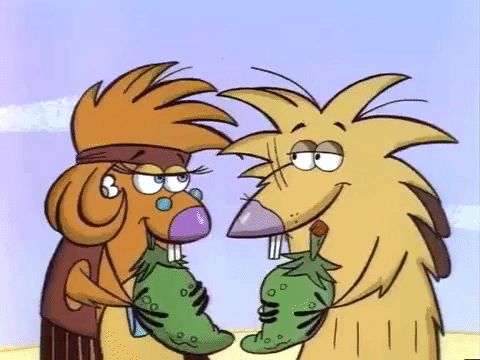nickrewind giphydvr nicksplat angry beavers giphyab013 GIF